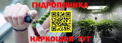 спайс Будённовск